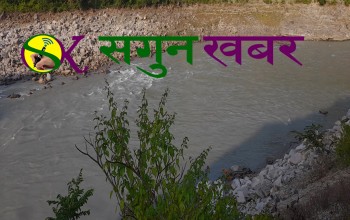 भारतीय क्षेत्रबाट महाकाली नदीमा हाम फालेर एक नेपाली नागरिक बेपत्ता 